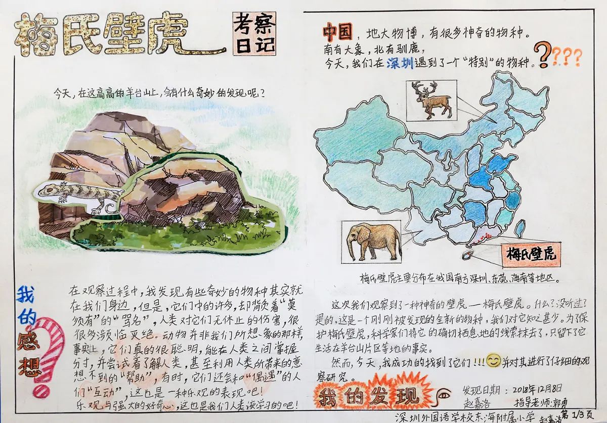 12梅氏壁虎1_赵嘉洛