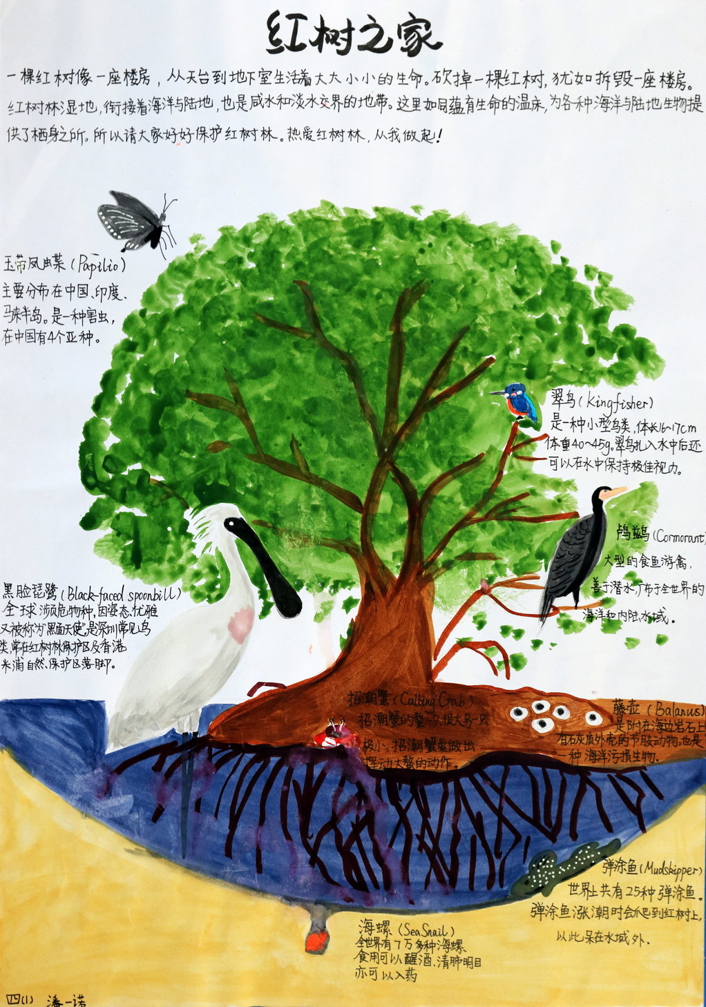 16红树之家_潘一诺