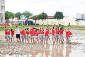 阳光外小，春日有约丨多彩社会实践助推快乐成长 Colorful social practice