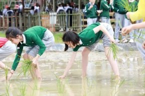 农耕劳作春日忙 知行合一研学行