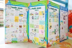 Large unit homework display 大单元外语作业展